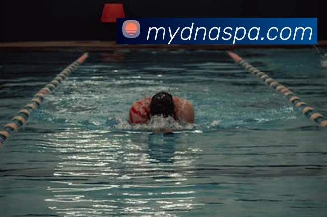 pa真人视讯平台生态图