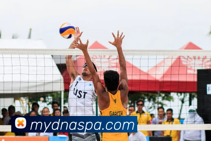 pa真人视讯APP 封面图