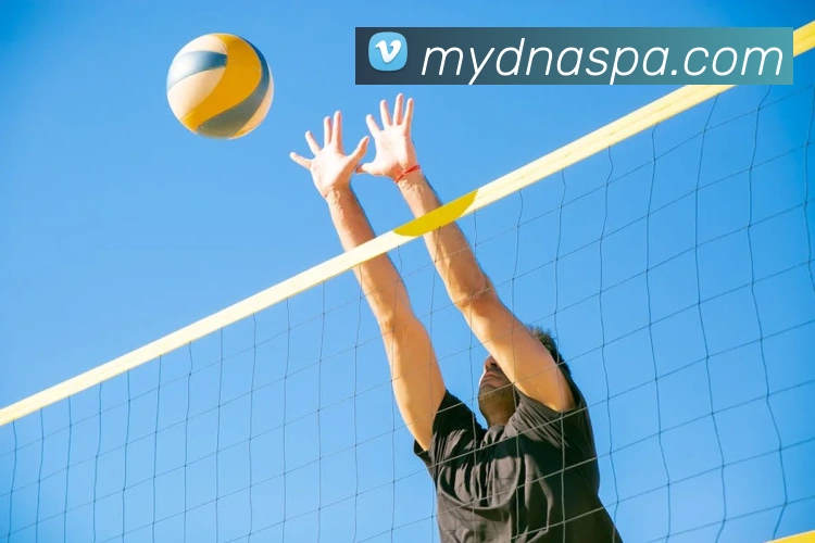 数据防护可视化